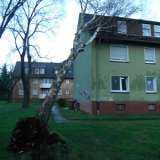 Nahe Akazienstraße: Böe legt Baum auf Wohnblock 