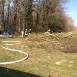 Feuer in alter Eiche