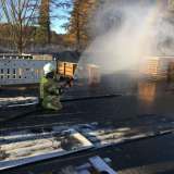 Gemeinsam ins Feuer