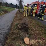 Kollision mit Straßenbaum