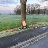Verkehrsunfall: Fahrzeug gegen Baum geprallt