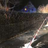 Feuerwehr löscht Pkw- und Heckenbrand