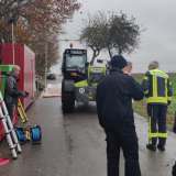 Geflügelpest erreicht Soester Kreisgebiet
