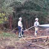 Feuer breitet sich schnell aus: Feld und Wald brennen - mehrere Feuerwehren im Einsatz