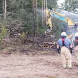 Feuer breitet sich schnell aus: Feld und Wald brennen - mehrere Feuerwehren im Einsatz