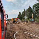 Feuer breitet sich schnell aus: Feld und Wald brennen - mehrere Feuerwehren im Einsatz