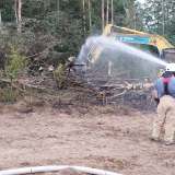 Feuer breitet sich schnell aus: Feld und Wald brennen - mehrere Feuerwehren im Einsatz