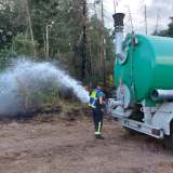 Feuer breitet sich schnell aus: Feld und Wald brennen - mehrere Feuerwehren im Einsatz