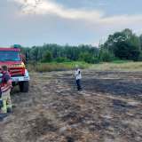 Feuer breitet sich schnell aus: Feld und Wald brennen - mehrere Feuerwehren im Einsatz