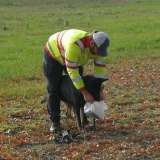 Hundestaffel: Prüfungen bestanden
