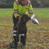 Hundestaffel: Prüfungen bestanden