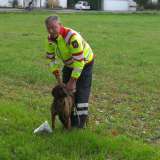 Hundestaffel: Prüfungen bestanden