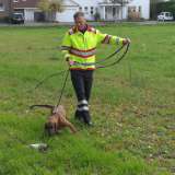 Hundestaffel: Prüfungen bestanden