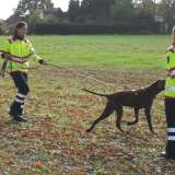 Hundestaffel: Prüfungen bestanden