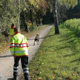 Hundestaffel: Prüfungen bestanden