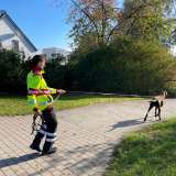 Hundestaffel: Prüfungen bestanden