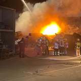 POL-SO: Brand