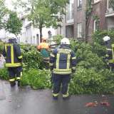 Erinnerungen zum Tornado - heute vor einem Jahr