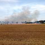 Löschgruppen Hörste und Dedinghausen üben Vegetationsbrandbekämpfung