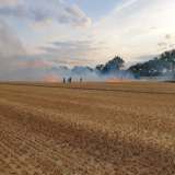 Löschgruppen Hörste und Dedinghausen üben Vegetationsbrandbekämpfung