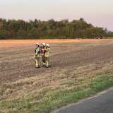 Vegetationsbrand in Hörste ruft Feuerwehr auf den Plan