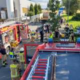 Mit Übungstag hat der Löschzug 1 besondere Rettungstechniken trainiert 