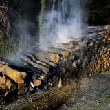 Im Wald brennenden Holzstapel abgelöscht