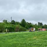 Güterzug prallt gegen Baum