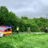 Güterzug prallt gegen Baum