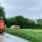 Güterzug prallt gegen Baum