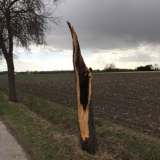 Einsatzdokumentation