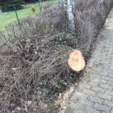 Einsatzdokumentation
