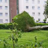 Tornado wütet über Lippstadt: Wüst vor Ort - DWD: „Über das normale Maß hinaus“